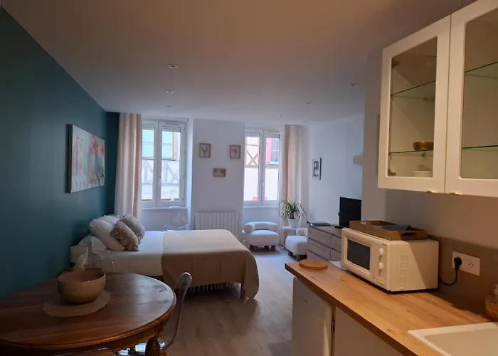 Studio Centre Macon Place Aux Herbes